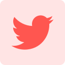 Twitter (X)